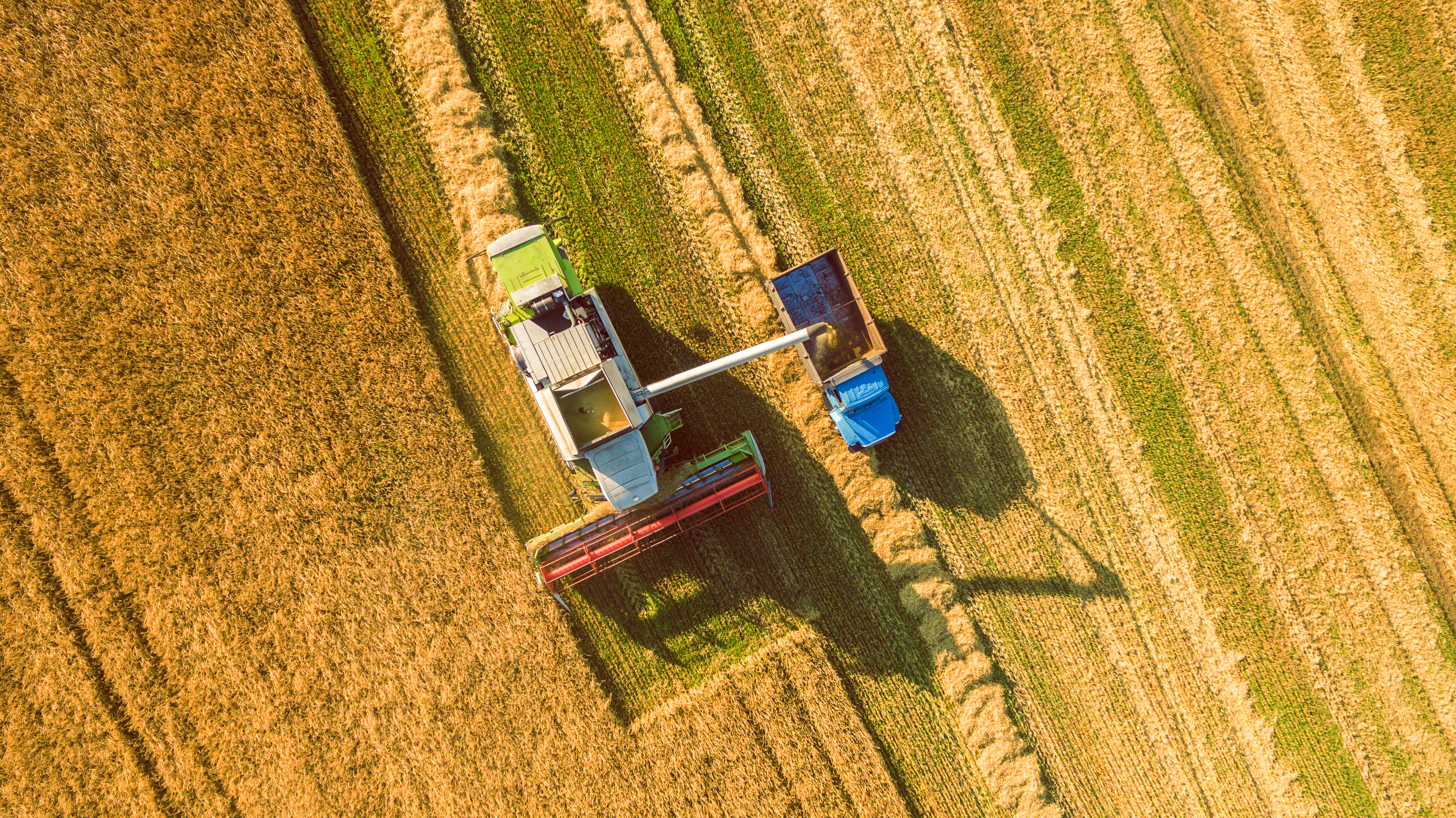 farm tractor