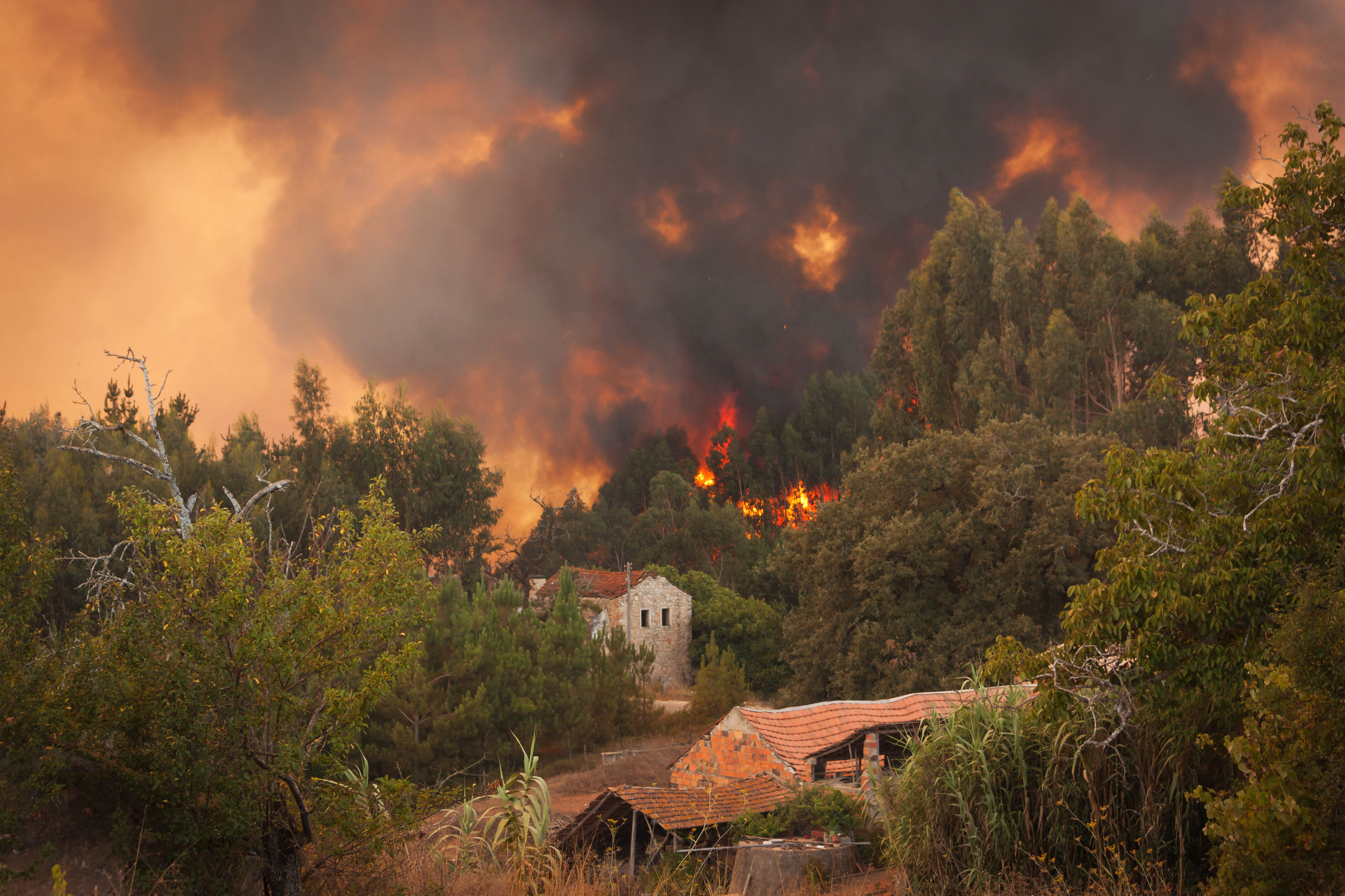 Climate Change Perspectives