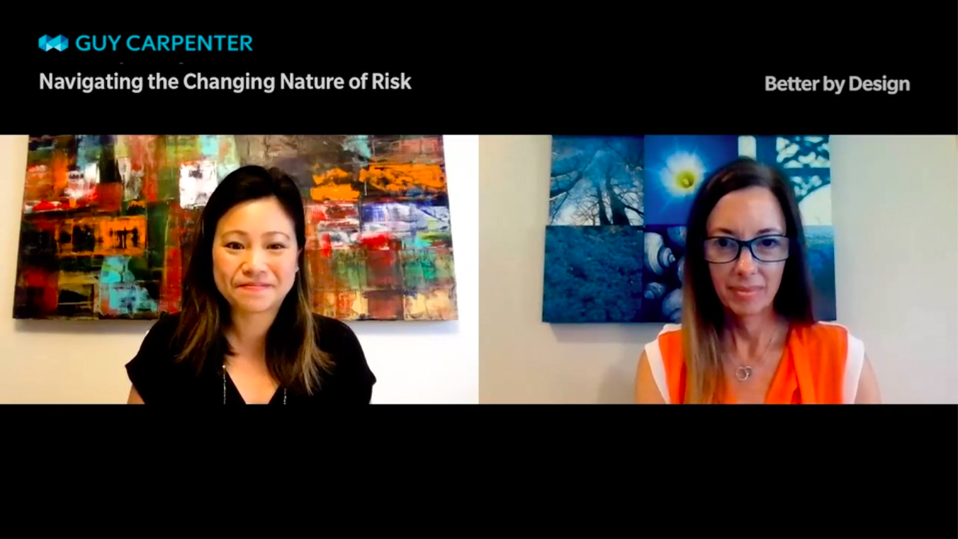 screen grab of navigting the changing nature of risk video
