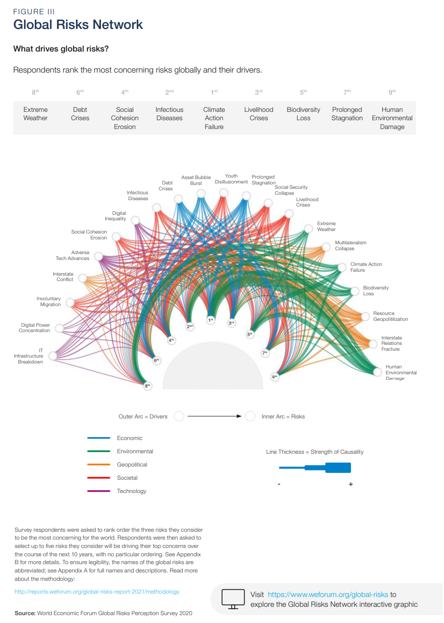 Global Risks Network